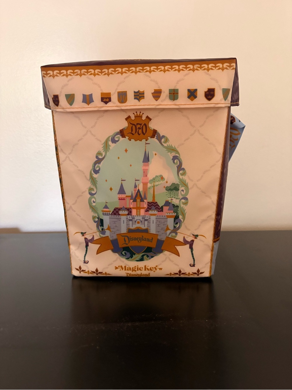 Disneyland 70th Popcorn bag